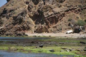 La Moscarda 2 envahie par les algues