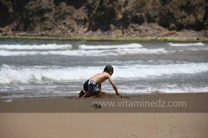 Plage de Port Say, Moscarda 2 (Marsa Ben Mhidi) la période de Mai 2012