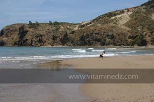 Plage de Port Say, Moscarda 2 (Marsa Ben Mhidi) la période de Mai 2012