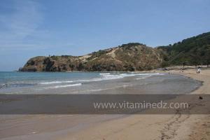 Moscarda 2, Plage de Port Say (Marsa Ben Mhidi) la période de Mai 2012