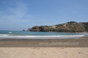 Moscarda 2, Plage de Port Say (Marsa Ben Mhidi) la période de Mai 2012