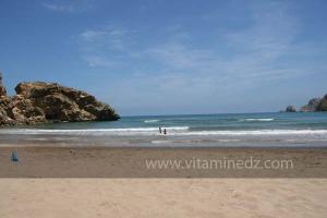 Moscarda 2, Plage de Port Say (Marsa Ben Mhidi) la période de Mai 2012