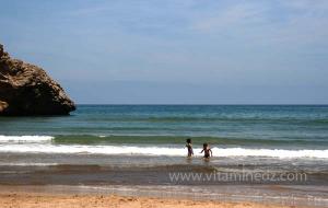 Moscarda 2, Plage de Port Say (Marsa Ben Mhidi) la période de Mai 2012