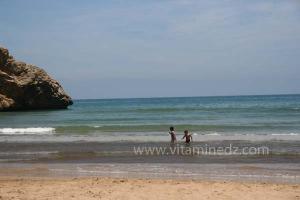Moscarda 2, Plage de Port Say (Marsa Ben Mhidi) la période de Mai 2012