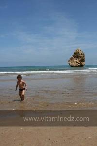 Moscarda 1, Plage de Port Say (Marsa Ben Mhidi) la période de Mai 2012