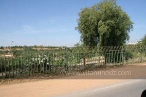 Boukanoune, le poste de frontière algéro-marocain