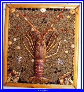 Tableau en coquillages