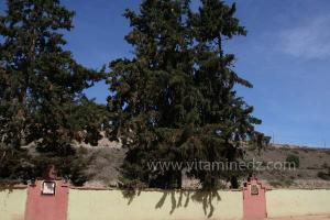 Le village de Souani avec son barrage qui n\'a jamais servi