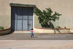 Petite fille de Meghagha, commune de souani