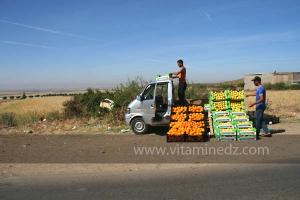Vente de fruits et légumes du Maroc