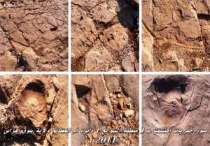 اكتشاف حفريات ديناصور بأم العظائم ولاية سوق اهراس