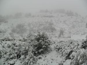 LE MONT DE ZATIMA AVEC SON MANTEAU BLANC