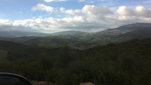 Les hautes plaines de Roknia