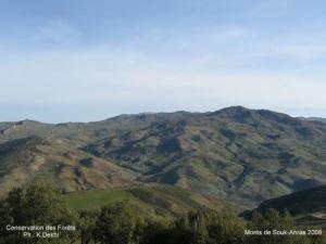 Les Montagnes de Souk Ahras
