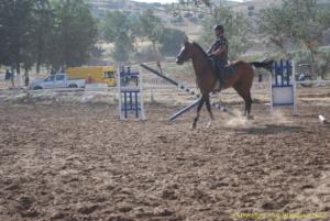 COUPE D 'ALGERIE SAUT D 'OBSTACLES JUMENTERIE DE TIARET LE 07JUIN 2012