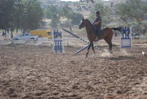 COUPE D 'ALGERIE SAUT D 'OBSTACLES JUMENTERIE DE TIARET LE 07JUIN 2012