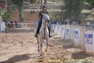 COUPE D 'ALGERIE SAUT D 'OBSTACLES JUMENTERIE DE TIARET LE 07JUIN 2012
