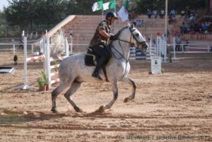 COUPE D 'ALGERIE SAUT D 'OBSTACLES JUMENTERIE DE TIARET LE 07JUIN 2012