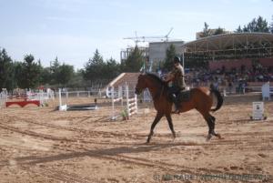 COUPE D 'ALGERIE SAUT D 'OBSTACLES JUMENTERIE DE TIARET LE 07JUIN 2012