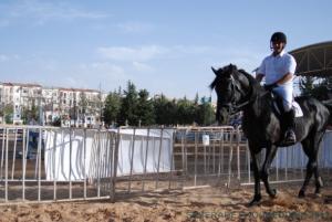 COUPE D 'ALGERIE SAUT D 'OBSTACLES JUMENTERIE DE TIARET LE 07JUIN 2012