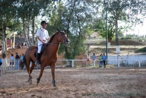 COUPE D 'ALGERIE SAUT D 'OBSTACLES JUMENTERIE DE TIARET LE 07JUIN 2012