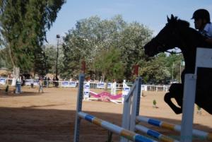 COUPE D 'ALGERIE SAUT D 'OBSTACLES JUMENTERIE DE TIARET LE 07JUIN 2012