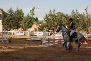 COUPE D 'ALGERIE SAUT D 'OBSTACLES JUMENTERIE DE TIARET LE 07JUIN 2012