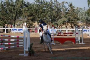 COUPE D 'ALGERIE SAUT D 'OBSTACLES JUMENTERIE DE TIARET LE 07JUIN 2012