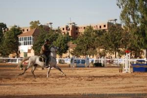 COUPE D 'ALGERIE SAUT D 'OBSTACLES JUMENTERIE DE TIARET LE 07JUIN 2012