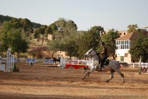 COUPE D 'ALGERIE SAUT D 'OBSTACLES JUMENTERIE DE TIARET LE 07JUIN 2012
