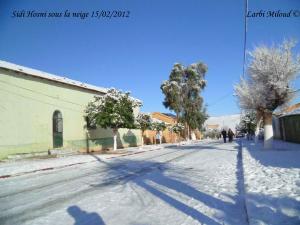 Sidi Hosni sous la neige 15/02/2012