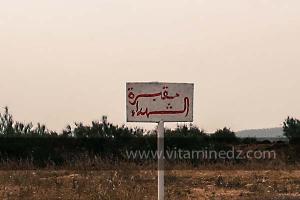 Cimetière des martyrs à Oued El Khir