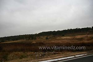 Foret de Mouzaia, commune de Sirat