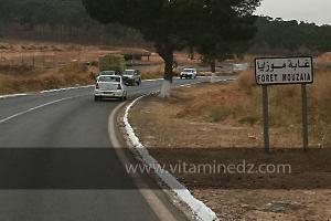 Massacre écologique à la forêt de Mouzaïa !  Mostaganem