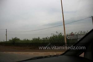 Commune de Ain Tedless