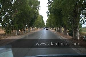 Commune de Ain Tedless