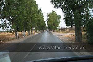 Commune de Ain Tadless