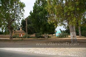 Marabout de Sidi Bouziane