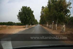 Sordie de Oued El Khir