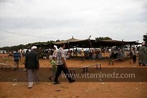 Waada de Sidi L3adjal, Oued El Khir, Mostaganem 31.05.2012