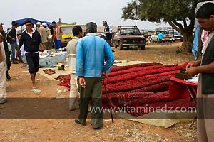Waada de Sidi Laadjal, Oued El Khir, Mostaganem 31.05.2012