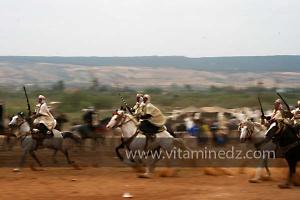 Waada de Sidi Laadjal, Oued El Khir, Mostaganem 31.05.2012