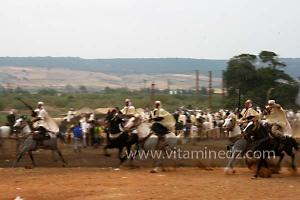 Waada de Sidi Laadjal, Oued El Khir, Mostaganem 31.05.2012