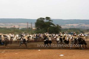 Waada de Sidi Laadjal, Oued El Khir, Mostaganem 31.05.2012