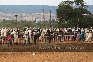 Waada de Sidi Laadjal, Oued El Khir, Mostaganem 31.05.2012