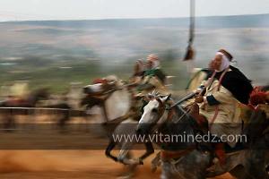Waada de Sidi Laadjal, Oued El Khir, Mostaganem 31.05.2012