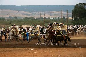 Waada de Sidi Laadjal, Oued El Khir, Mostaganem 31.05.2012