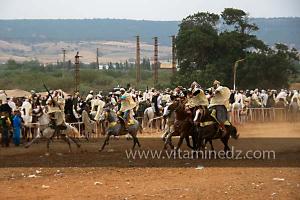 Waada de Sidi Laadjal, Oued El Khir, Mostaganem 31.05.2012