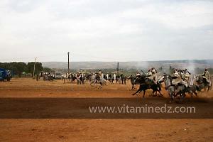 Waada de Sidi Laadjal, Oued El Khir, Mostaganem 31.05.2012