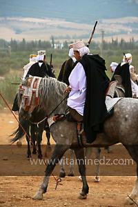 Waada de Sidi Laadjal, Oued El Khir, Mostaganem 31.05.2012